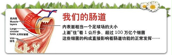 timg (2)