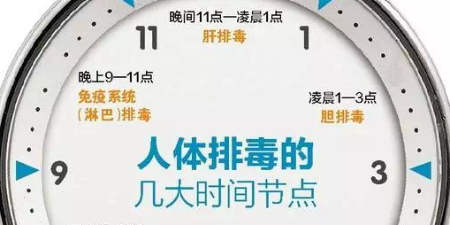 熬夜是如何影响一个人的内分泌的