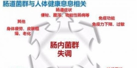 菌群这么厉害，肠道健康原来全靠它