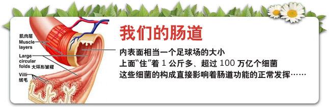 timg (2)